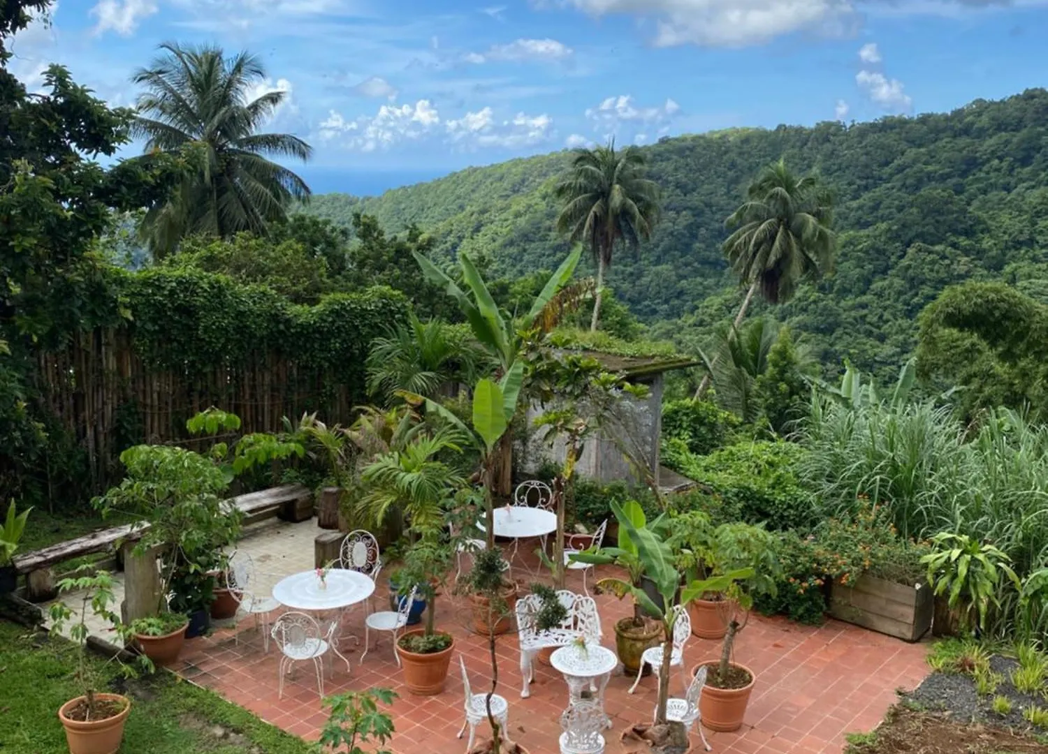 Le Domaine De La Trace Plongez Dans Le Xixe Siecle Villa Fort-de-France